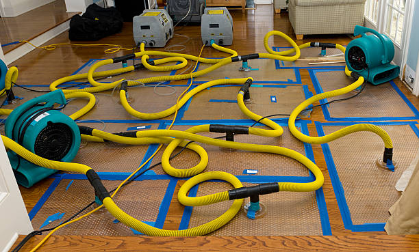 Professional Sewage Cleanup technician working in Sibley, MO
